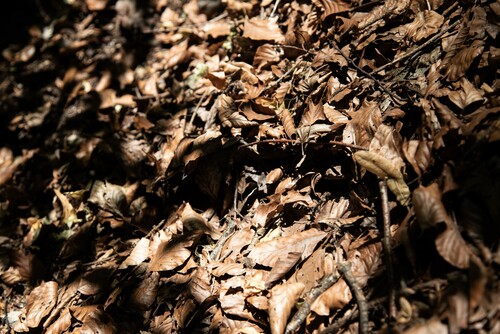 Grounding 3