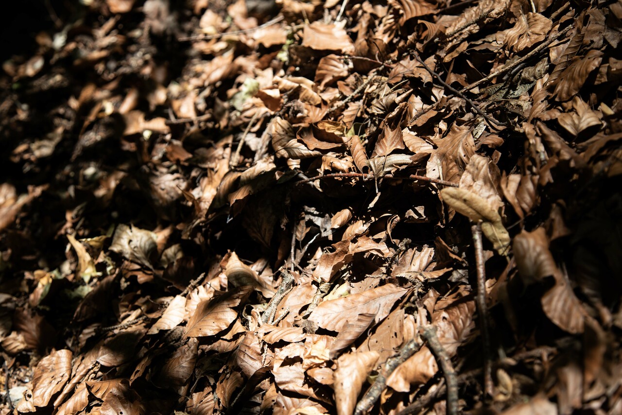  - Grounding 3