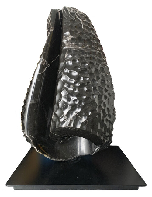 Fuego de la lluvia