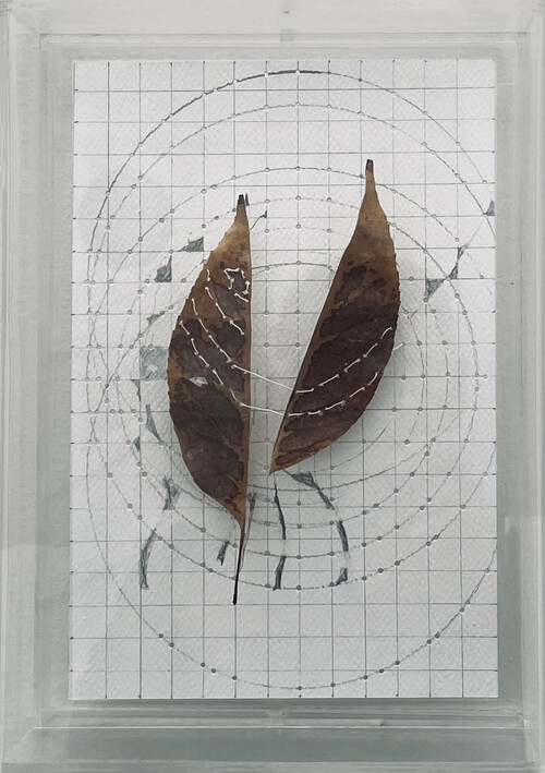 Estudio de la caída de una hoja/ tríptico S. Jardín Secreto