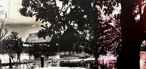 Iquitos II