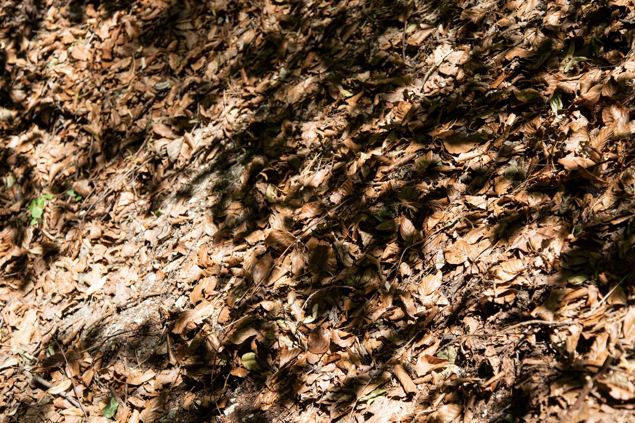  - Grounding 2