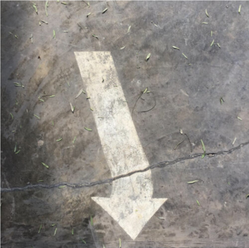 Inevitable, Chosica, 2015  