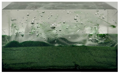 Silencio bajo el mar I