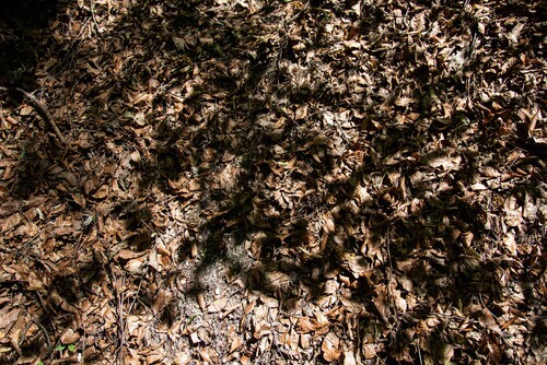 Grounding 1