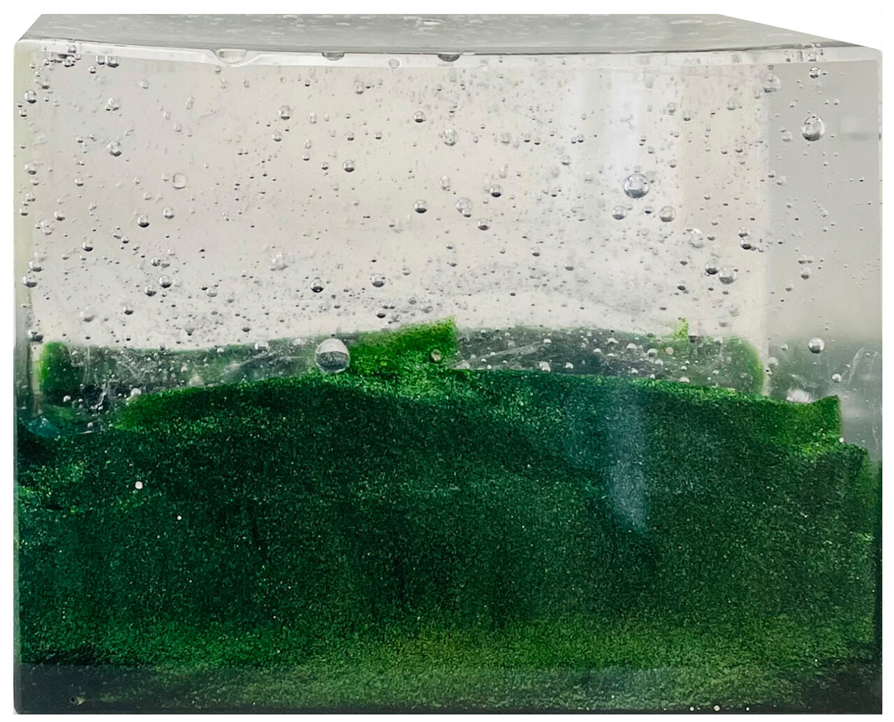  - Silencio bajo el mar II