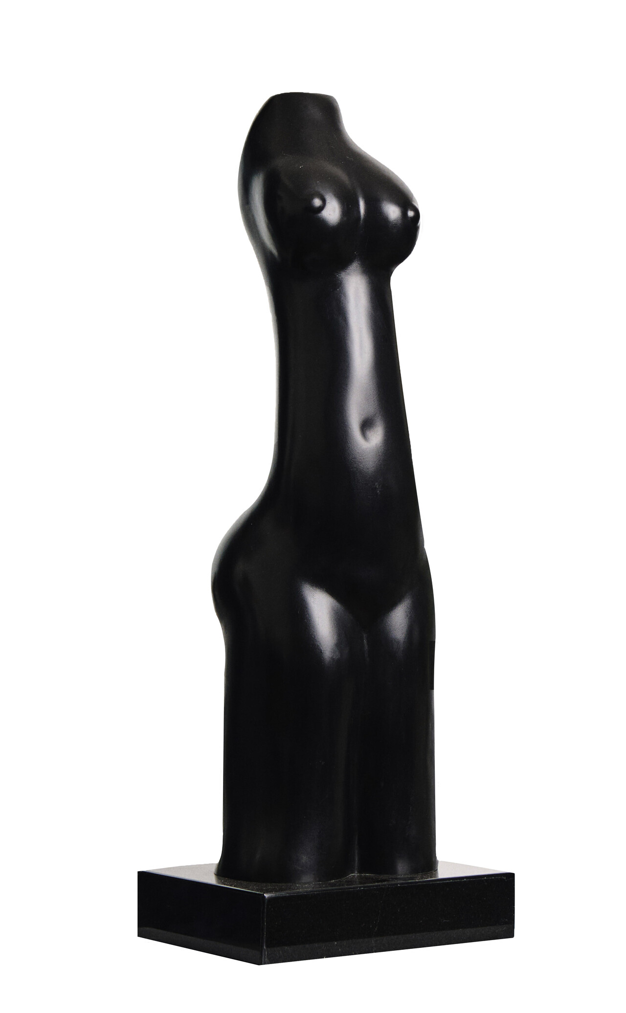  - Torso femenino