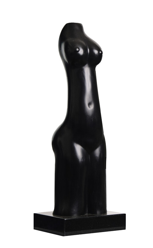 Torso femenino