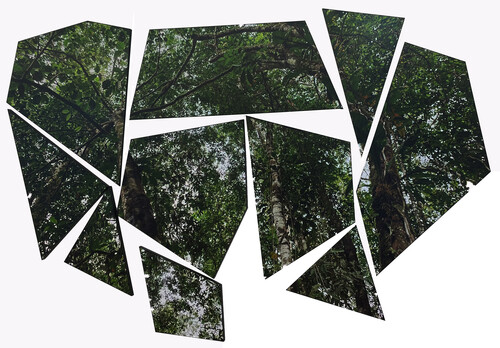 SELVA