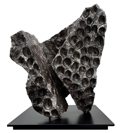 Lineas de la naturaleza