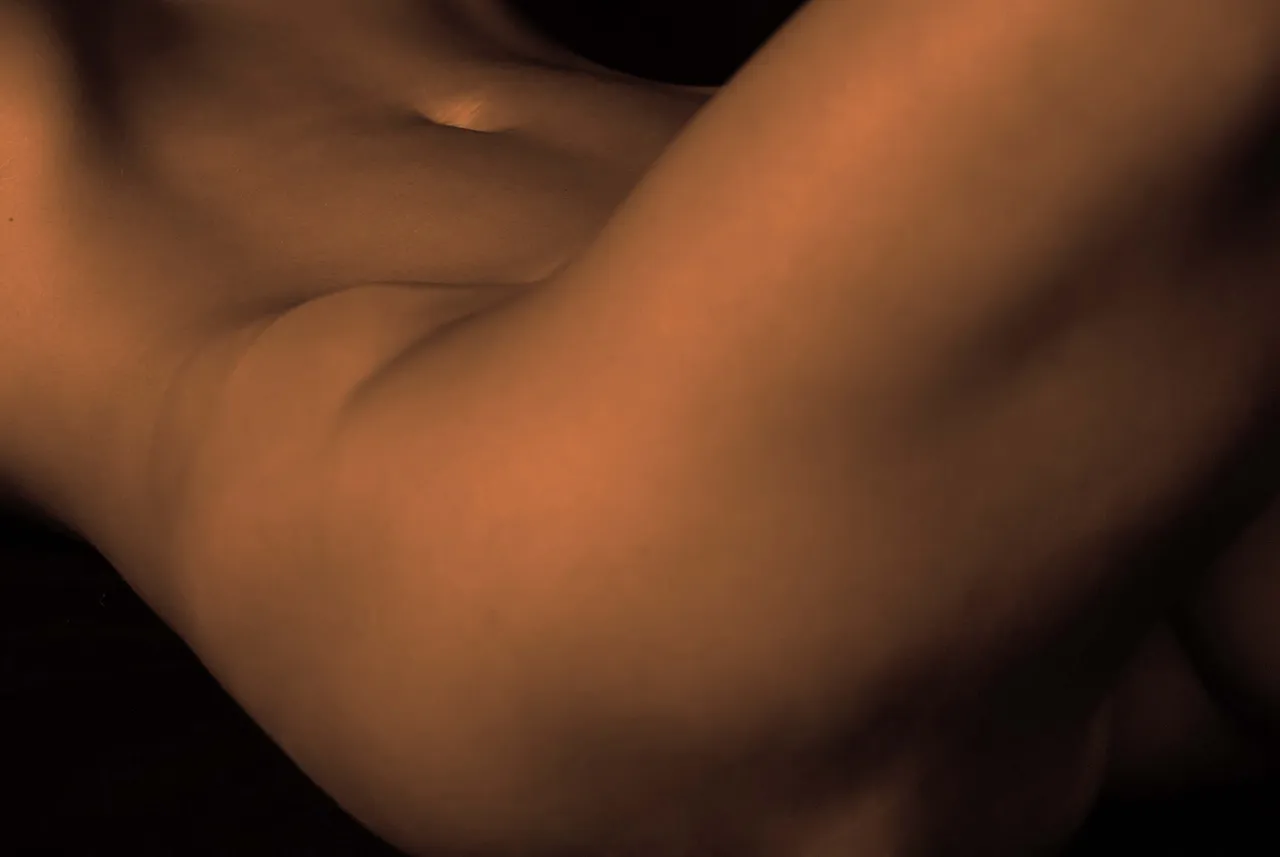 Diego Alvarado - Homo sapiens VI