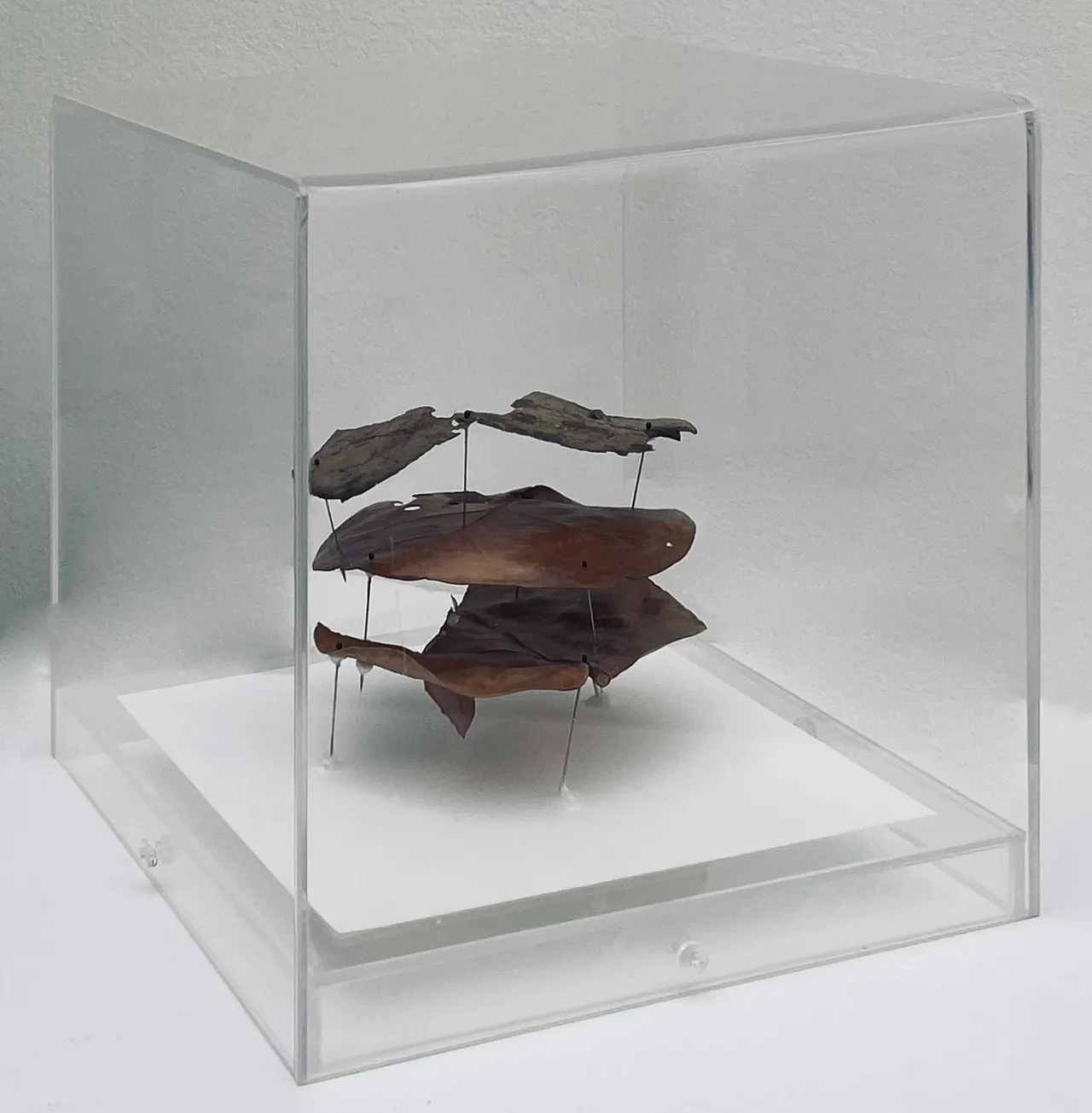 Lina Leal - Arquitecturas #3