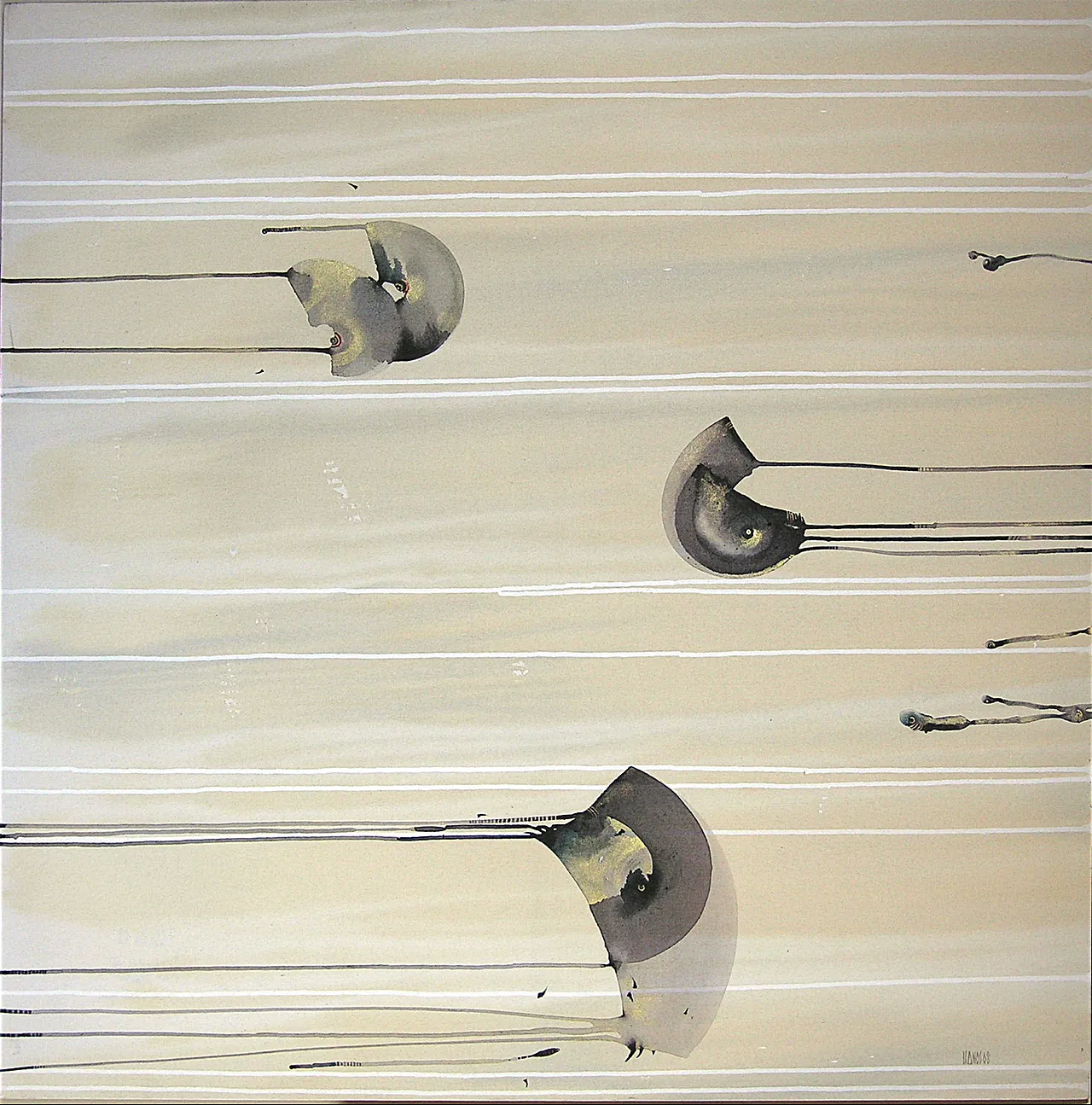 Valeria Ghezzi - Caracoles