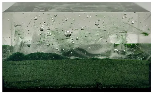 Silencio bajo el mar I