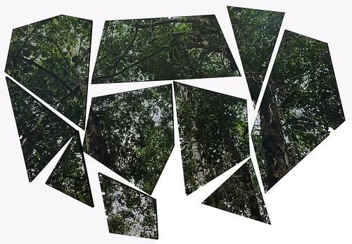 SELVA