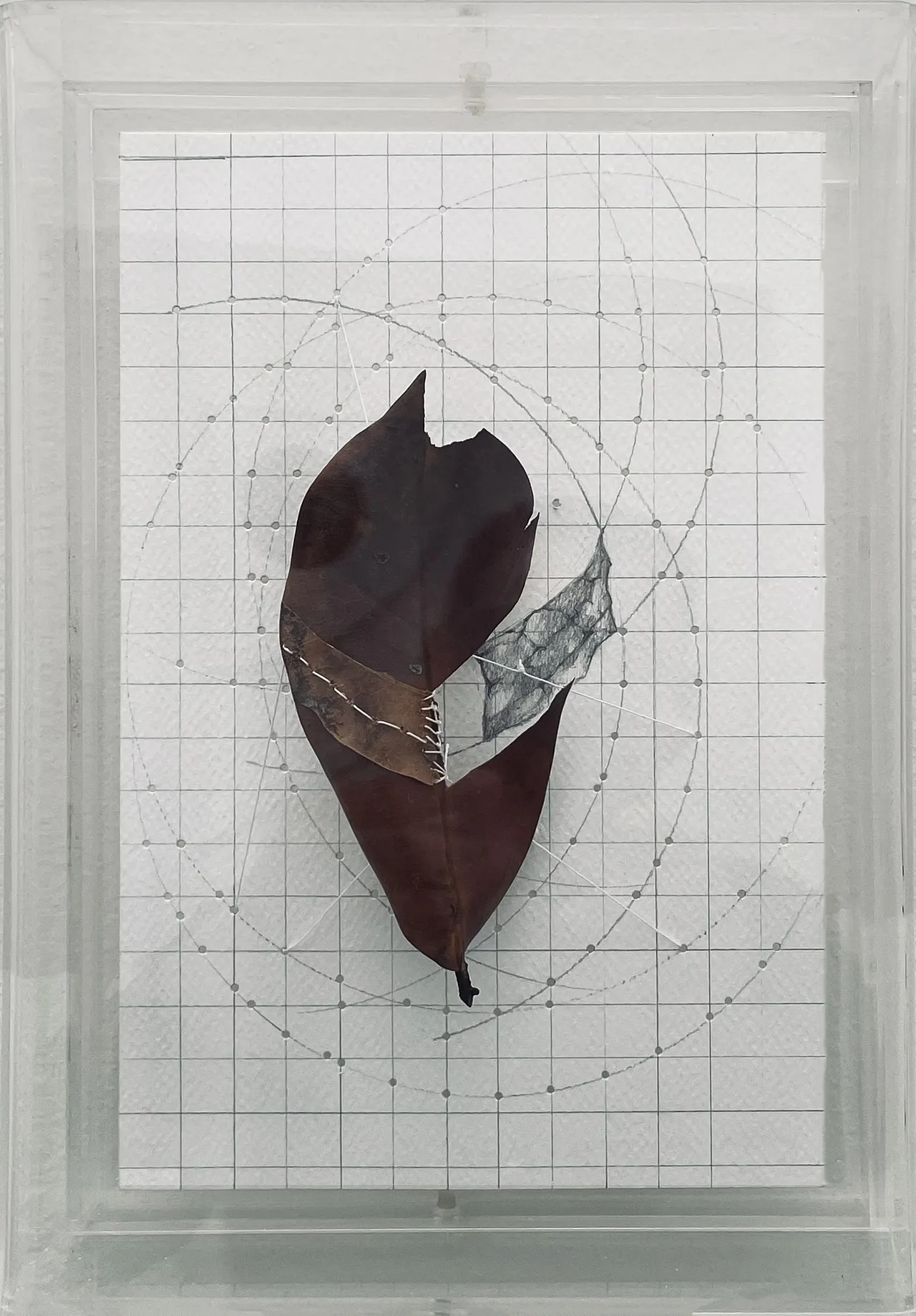 Lina Leal - Estudio de la caída de una hoja/ tríptico S. Jardín Secreto