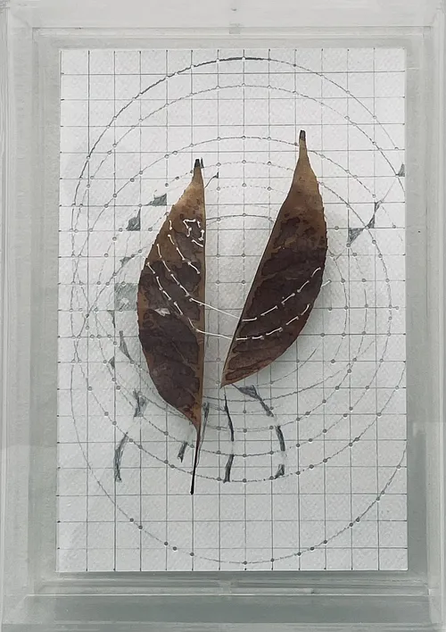 Estudio de la caída de una hoja/ tríptico S. Jardín Secreto