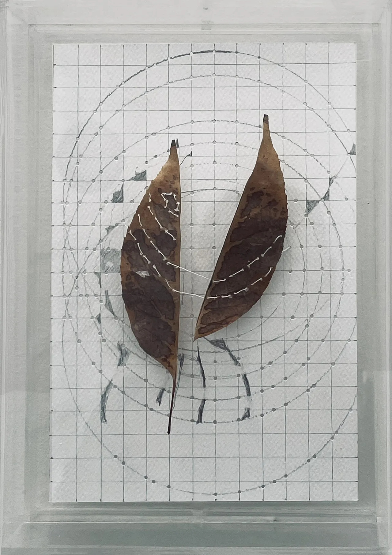 Lina Leal - Estudio de la caída de una hoja/ tríptico S. Jardín Secreto