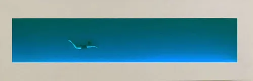 S/T.