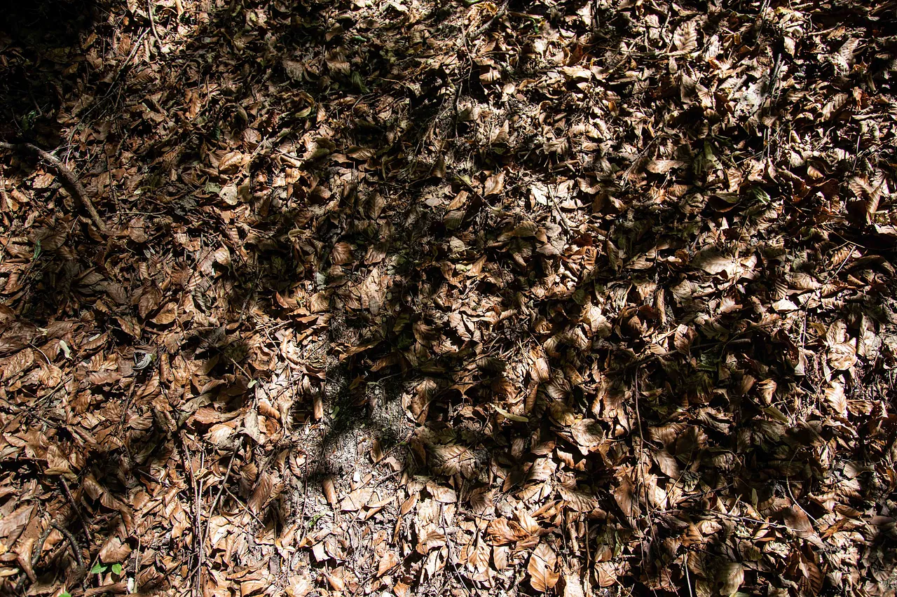 Mili DC Hartinger - Grounding 1