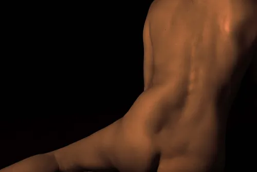 Homo sapiens IX