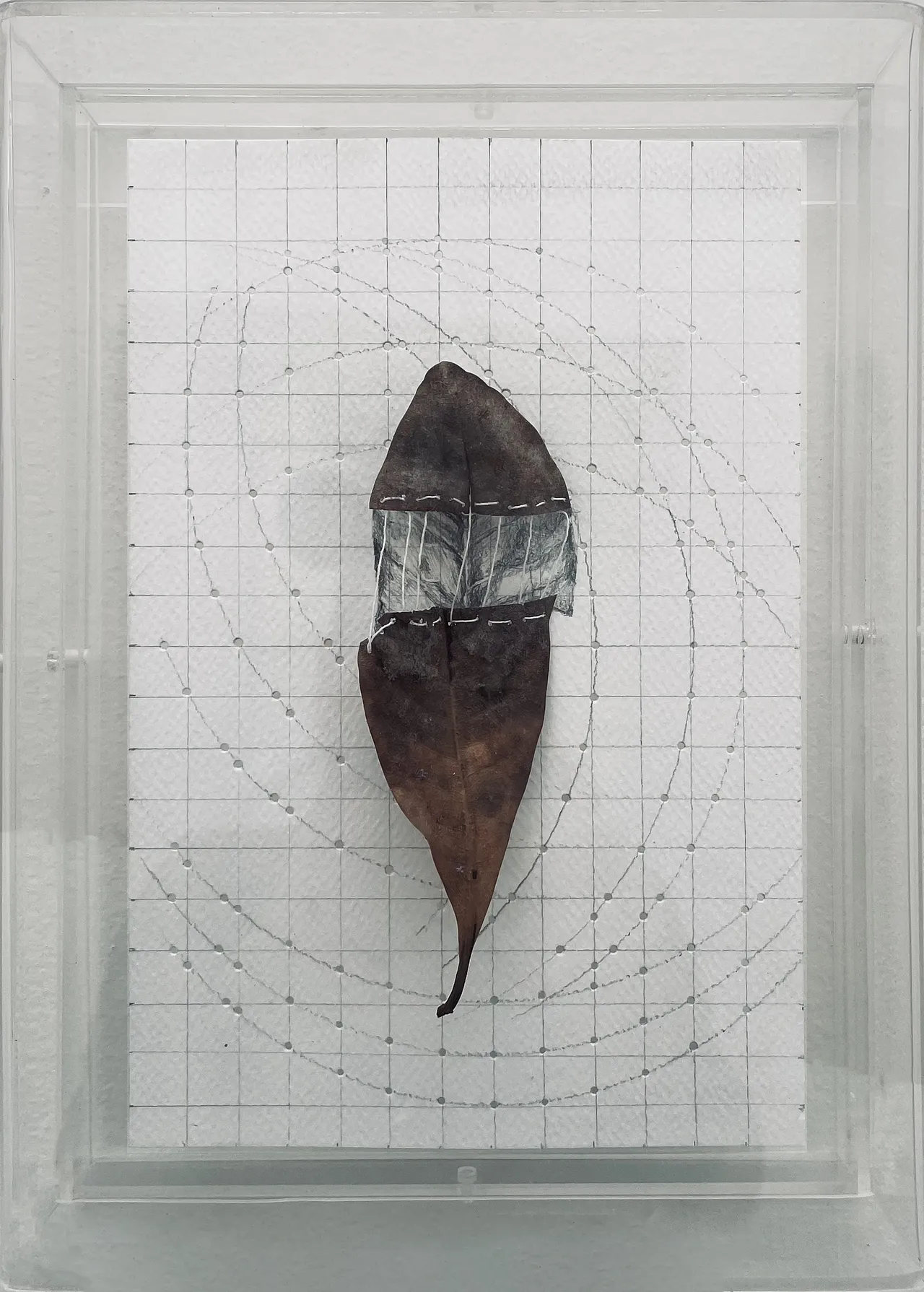 Lina Leal - Estudio de la caída de una hoja/ tríptico S. Jardín Secreto