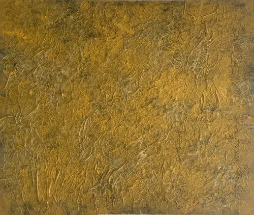 Piel del desierto