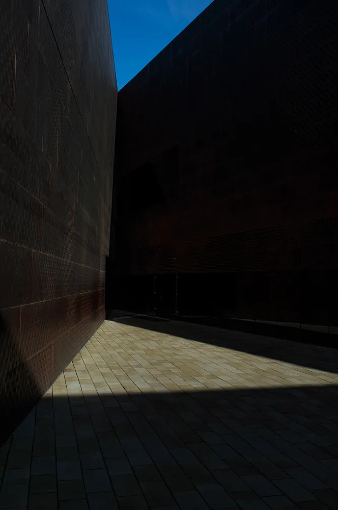 Diego Alvarado - Herzog & de Meuron, Young Museum, San Francisco, 2015